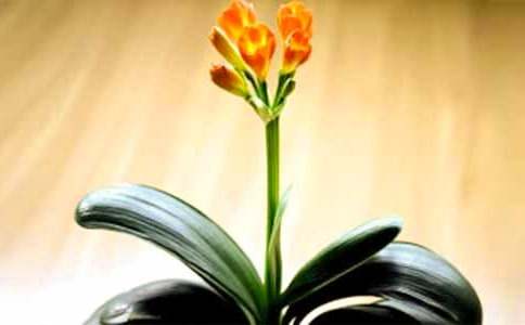 �^������m����(7ƪ)