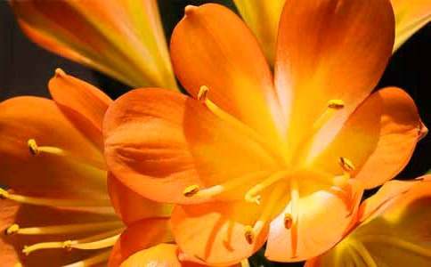 �����m���^������400��