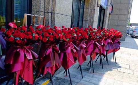 �����_�I(y��)΢��ף�R�~���\