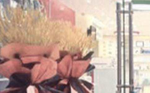 ����Դ��(hu��)���_�I(y��)�R�~����