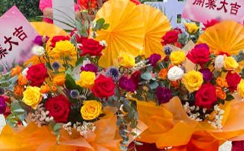 �µ��_����Ո�������x18ƪ��