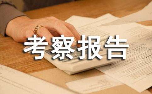 干部考察報(bào)告基本格式