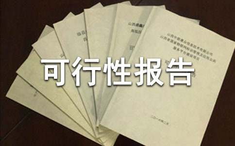 項目可行性報告分析