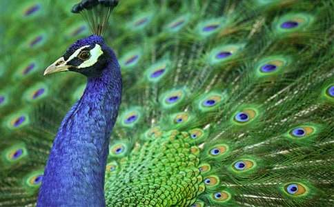 �ɐ�(��i)�Ŀ�ȸ�~(y��)���ģ�ͨ��17ƪ��