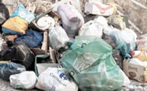 小學(xué)作文:對(duì)“垃圾車站”的反思