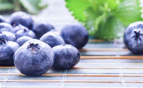 藍(lán)莓作文600字合集9篇