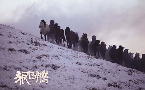 �x���ǈD�vС��С�ǡ��и�����250��