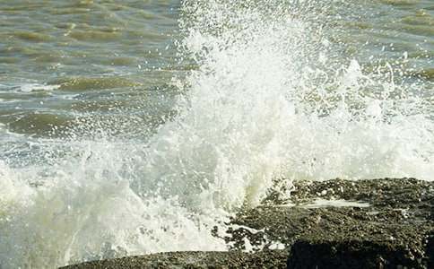 記憶中的一朵浪花作文(通用18篇)