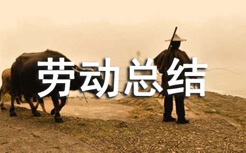 社會實(shí)踐活動(dòng)勞動(dòng)總結(jié)(通用25篇)