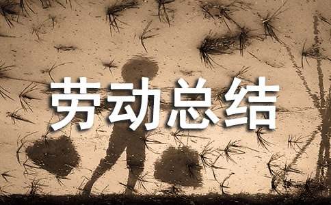 勞動(dòng)周個(gè)人勞動(dòng)總結(jié)