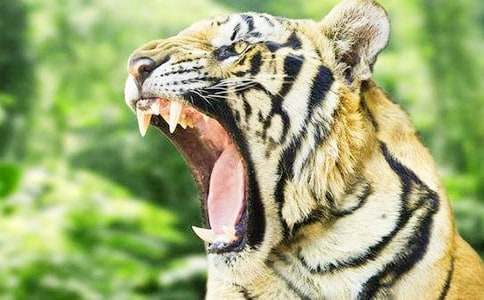 �P(gu��n)���ϻ���ͯԒ����4ƪ