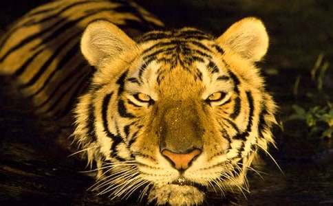 ����ֻ�ǡ����ϻ���_700��