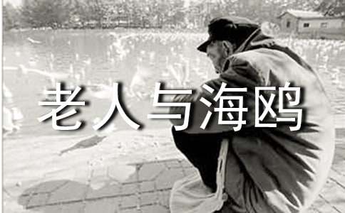 老人與海鷗續(xù)寫500