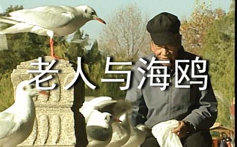 老人與海鷗讀書筆記