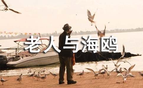 《老人與海鷗》的讀書筆記之優(yōu)美段落