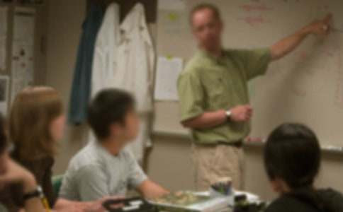 我的啟蒙老師作文