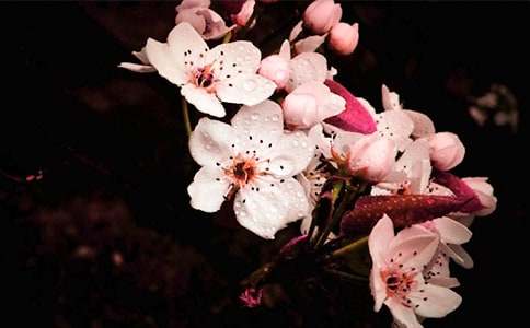 �滨���f�ֺ��L(f��ng)����1000��