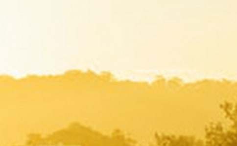 �����µ�΢Ц���ķ���