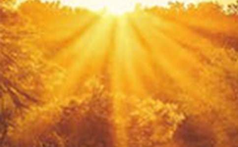 ɭ���е�����ͯԒ����