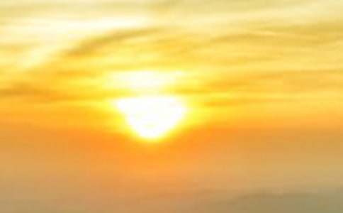 這里的黎明靜悄悄初三作文