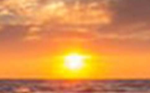 ������ѩ����