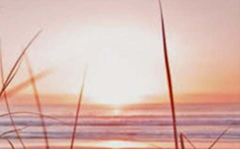 ���^(gu��)�ڰ����ܵ��_(d��)������������