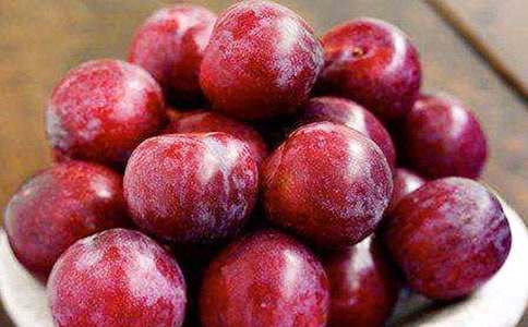 李子樹-借物抒情作文700字 高三作文范文