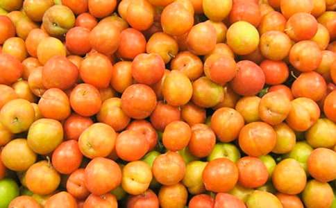 李子冒險(xiǎn)記小學(xué)童話作文