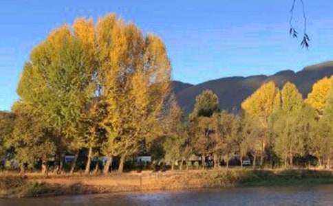 游覽麗江古城作文400字(通用40篇)