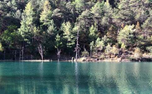 美麗江城作文700字(精選15篇)