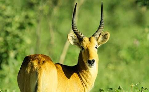 �m(x��)��������ľ��