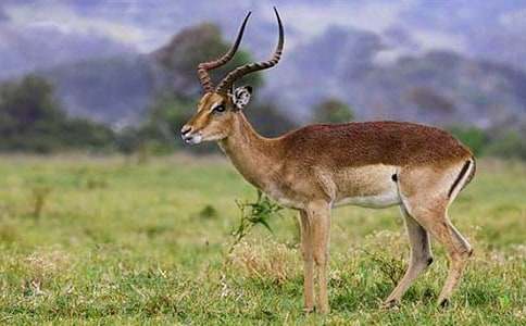 ��������600��