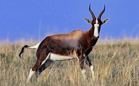 ������Ĺ�ݸ������ģ�ͨ��24ƪ��