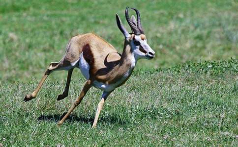 ����ľ��̰���ͨ��7ƪ��