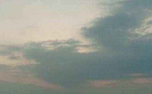 �賿�Ċ^������600��