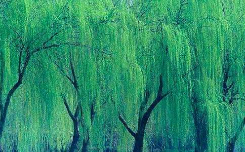 �ڴ�������������~�Z