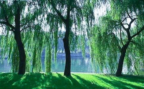 �茑ӛ�������������