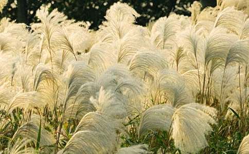 ӛ���е��JȔ����