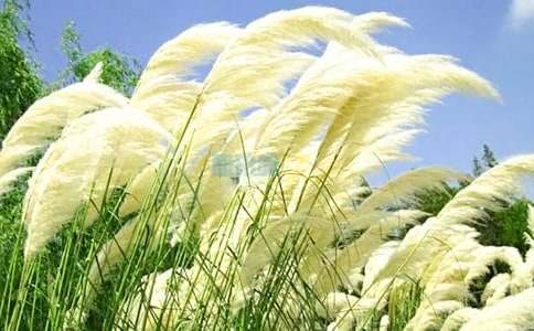 �������L�^�JȔ