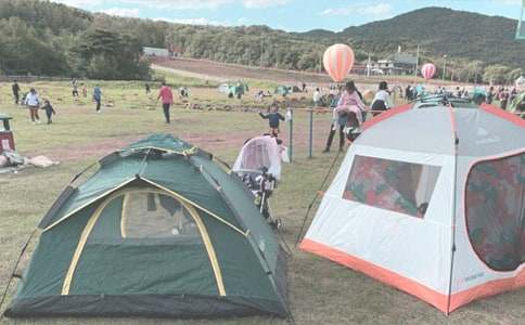 ¶�IСӛ��������