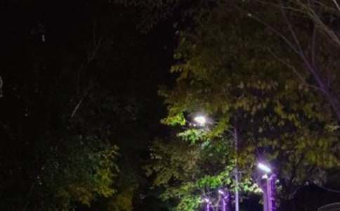 ������·�ϵ�ָ·������