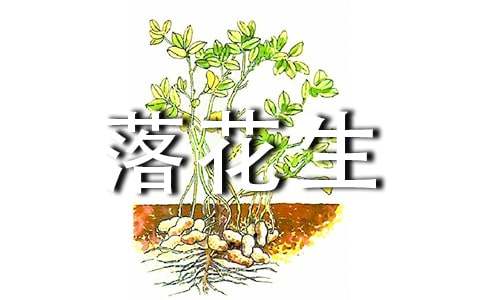 落花生公開(kāi)課教案范文