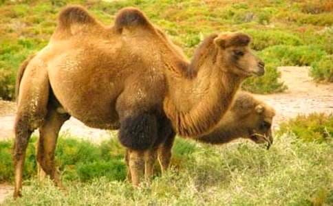 ���С�t�R����