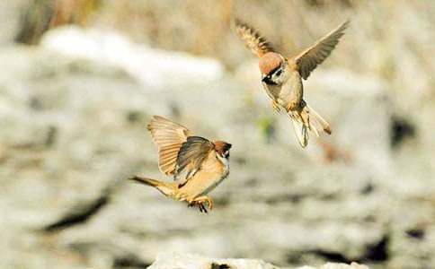 ���Ե�С��ȸС�W(xu��)����