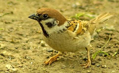 ����(y��u)�x����ȸ������400��3ƪ