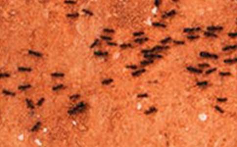 ���YΛρ?zh��n)��?/></p><p>������(gu��)��(n��i)�՚�������Ј�(ch��ng)�Ԍ��S�ָ������L(zh��ng)��(sh��)�^��ӛ����ǰ�ı����̈�(b��o)���������(li��n)�����k�ġ�2017���Ї�(gu��)�՚�������ИI(y��)�߷�Փ�����ϫ@Ϥ��2017���(gu��)��(n��i)�՚�������Ј�(ch��ng)Ʒ�Ɣ�(sh��)�_(d��)556��(g��)���^2013���151��(g��)���L(zh��ng)��268%��Ʒ�Ɣ�(sh��)��������ͬ�r(sh��)����(gu��)��(n��i)�՚�������Ј�(ch��ng)���N�������N���~Ҳ���p�p���L(zh��ng)30% �������A(y��)Ӌ(j��)2017���Ї�(gu��)�՚�������N�������_(d��)677�f(w��n)�_(t��i)��ͬ�����L(zh��ng)35.7%���N���~���_(d��)153.5�|Ԫ��ͬ�����L(zh��ng)32.6%��</p><p>������ǰ�������̈�(b��o)���c������(li��n)�ϰl(f��)���ˇ�(gu��)��(n��i)�ײ��՚��������(qu��n)���о���(b��o)�桪����2017��՚�������ИI(y��)�{(l��n)Ƥ��(sh��)��(���º�(ji��n)�Q���{(l��n)Ƥ��(sh��)��)�����{(l��n)Ƥ��(sh��)��ָ�����������(gu��)��(n��i)�՚�������Ј�(ch��ng)Ҏ(gu��)ģ�ʬF(xi��n)���m(x��)�U(ku��)��څ��(sh��)��2013���(gu��)��(n��i)�՚�������Ј�(ch��ng)Ҏ(gu��)ģ���ٳ��^(gu��)��160%��2017��Ճ��Ј�(ch��ng)�����mȻ�����p�������Ա��ַ�(w��n)���ĔU(ku��)���B(t��i)��(sh��)�����w�Ј�(ch��ng)���ٳ��^(gu��)30%�������������������~�քe�_(d��)��510�f(w��n)�_(t��i)��115�|Ԫ�������������Ј�(ch��ng)���L(zh��ng)�������@�������~��������ͬ�����L(zh��ng)���^(gu��)50%���A(y��)Ӌ(j��)2017�꾀����������(hu��)���m(x��)���Ä�(sh��)�^��������һ���������؞����w�Ј�(ch��ng)�İl(f��)չ�ṩ��(qi��ng)�ń�(d��ng)����</p><p>������(gu��)��(n��i)�҃�(n��i)�h(hu��n)���c�҃�(n��i)�h(hu��n)���a(ch��n)Ʒ�|(zh��)���O(ji��n)���z�(y��n)���������ΏV����ʾ����(gu��)��(n��i)�՚�������Ј�(ch��ng)�ʬF(xi��n)����ʽ�l(f��)չ��Ҫ�Ѓɂ�(g��)ԭ����һ��(g��)�ǿ՚���Ⱦ��(w��n)�}�����(y��n)�������M(f��i)���P(gu��n)ע����u��������һ��(g��)���Ǉ�(gu��)��(n��i)���M(f��i)������ˮƽ��������M(f��i)�ߌ�(du��)�������������˴��������</p><p>������(sh��)��(j��)�@ʾ���҇�(gu��)��2012���_(k��i)ʼ��Ⱦ�씵(sh��)�՝u����������2013���F��ȫ�汬�l(f��)�󣬿՚�������Ј�(ch��ng)Ҳ���ٷ���(y��ng)���N��Ҏ(gu��)ģ���m(x��)��������2013��12��Ҳ���F������(y��n)�صĕr(sh��)�c(di��n)���N��ӭ��(l��i)�߷���</p><p>������������������I(y��)������(j��ng)��Ǽtָ�����՚�������Ј�(ch��ng)������P(gu��n)ϵ�������ٶ�����ָ��(sh��)�@ʾ��2013��׵�2017��������M(f��i)�ߌ�(du��)�՚������������ָ��(sh��)���@���������r(sh��)�g�����ǶΕr(sh��)�g�������F�������l�l(f��)����</p><p>�����S���Ñ�(du��)�h(hu��n)��������(w��n)�}�P(gu��n)ע�ȵĲ����������՚�������Ľ��̶ܳ�Ҳ�S֮�߸�����(j��)�����̈�(b��o)��(li��n)���������Ƴ����Ñ��{(di��o)���@ʾ����32776���Ñ􅢼ӵ��{(di��o)�������H��3%���Ñ���ȫ��Ը��ُ(g��u)�I�՚�������a(ch��n)Ʒ�����^(gu��)���ɵ��Ñ�t��ʾӋ(j��)������ُ(g��u)�I��̎���^������</p><p>�����ڿ՚�������Ĺ��ܷ��������M(f��i)�����P(gu��n)ע���ǃ���PM2.5�̓�����ȩ���P(gu��n)ע�Ñ�ռ�ȸ��_(d��)85.2%��70.6%�����M(f��i)�����xُ(g��u)�՚�������a(ch��n)Ʒ�r(sh��)������Ҫ���]���ǿ՚��������Ʒ�����Ñ�ռ��78.8%�����M(f��i)�ߌ�(du��)�՚������������r(ji��)����Ҫ������1000-3000Ԫ֮�g���Ñ�ռ��73.4%��</p><p>�����������C�����M(f��i)��ͶƱ�͌����u(p��ng)���F(tu��n)���u(p��ng)���Y(ji��)�������ա������������������ȇ�(gu��)��(n��i)��՚������Ʒ����K�@����2017��՚������Ʒ�����a(ch��n)Ʒ��(ji��ng)�������w���������������s�@2017��՚���������ܚgӭ��(gu��)��Ʒ��;���������������Ęs�@2017��՚���������ܚgӭ��(gu��)��(n��i)Ʒ��;���������Ҽ̖(h��o)�s�@2017��՚���������ܚgӭ���I(y��)��Ʒ��;������AC40������AX70J7000WT/SC����������KJ-B260W�s�@2017��՚���������Ʒ�|(zh��)�a(ch��n)Ʒ��(ji��ng)�����W���TA500������KJFA420N���R��KJ705�s�@2017��՚��������ф�(chu��ng)�®a(ch��n)Ʒ��(ji��ng);��</p><p>�����R��˹EAC403������KJF-01A������KJF230A�s�@2017��՚����������w�(y��n)�a(ch��n)Ʒ��(ji��ng)��</p><p>������(j��)�˽�����������֪����(qu��n)��Ʒ�ƣ��՚�������Ј�(ch��ng)߀����������s�Ʈa(ch��n)Ʒ����(d��o)���ИI(y��)��(n��i)����(sh��)̓��(bi��o)����Ч���ȁy��������(y��n)���Ƽs���ИI(y��)���ռ��Ͱl(f��)չ����(j��)�����K�����̿���(j��ng)�������(y��n)����ָ����Ŀǰ�҇�(gu��)�՚��������ͥ�ռ����Բ���1%���h(yu��n)���ښW�������n�ȇ�(gu��)�ҡ�</p>
<p>�����YΛρ?zh��n)��ġ����P(gu��n)���£�</p><p><a target=