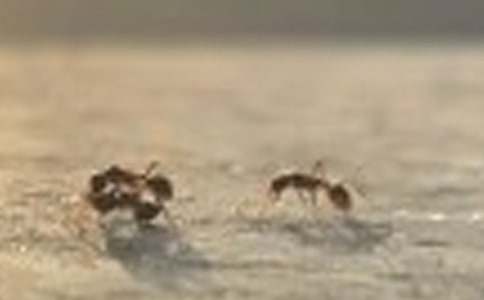 �P(gu��n)��Λρ��ͯԒ����