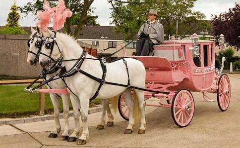 �ҵČ��R܇����