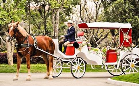 ��(sh��)���ǝ�s�r(sh��)����R܇(ch��)����