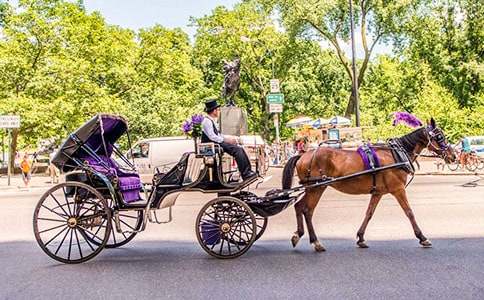 ���R܇,���ˮ��������